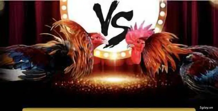 Đá Gà 123B Khẳng Định Vị Thế Dẫn Đầu Thị Trường Giải Trí