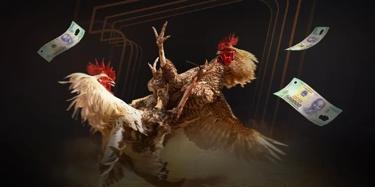 Đá Gà 123B Khẳng Định Vị Thế Dẫn Đầu Thị Trường Giải Trí